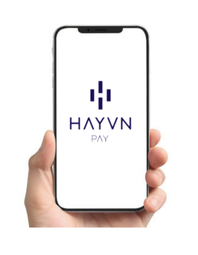HAYVN Pay crypto payment gateway for merchants